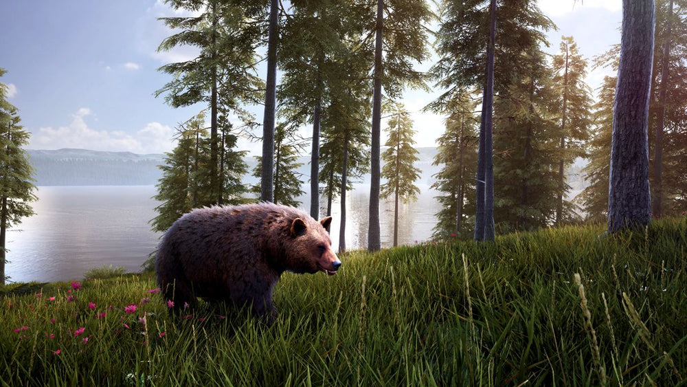 Hunting Simulator 2: Bear Hunter Edition - PS5