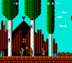 Bats & Terry - NES