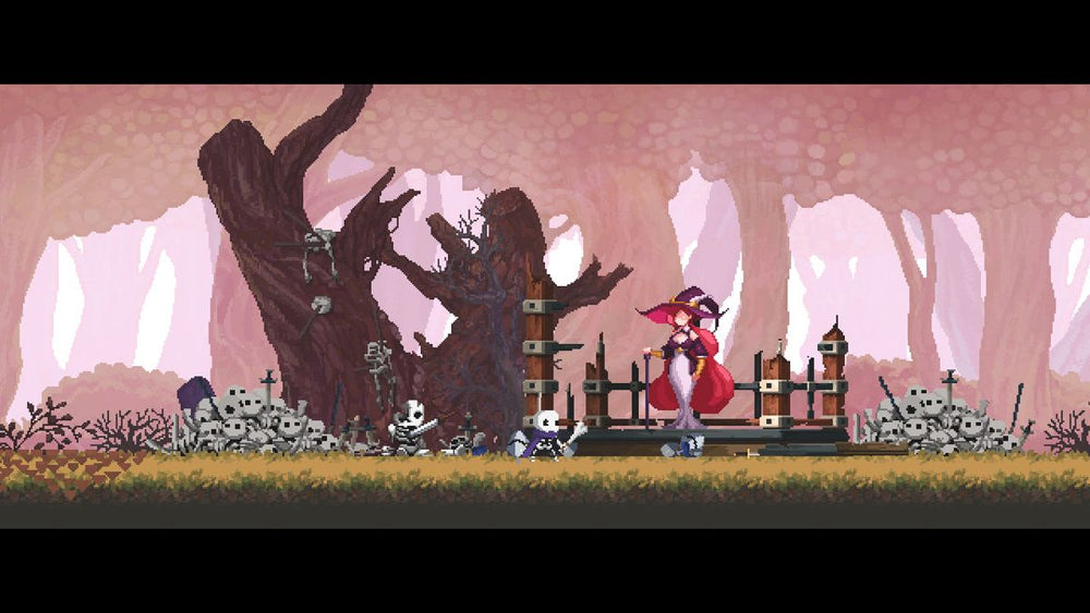 Skul: The Hero Slayer - Switch