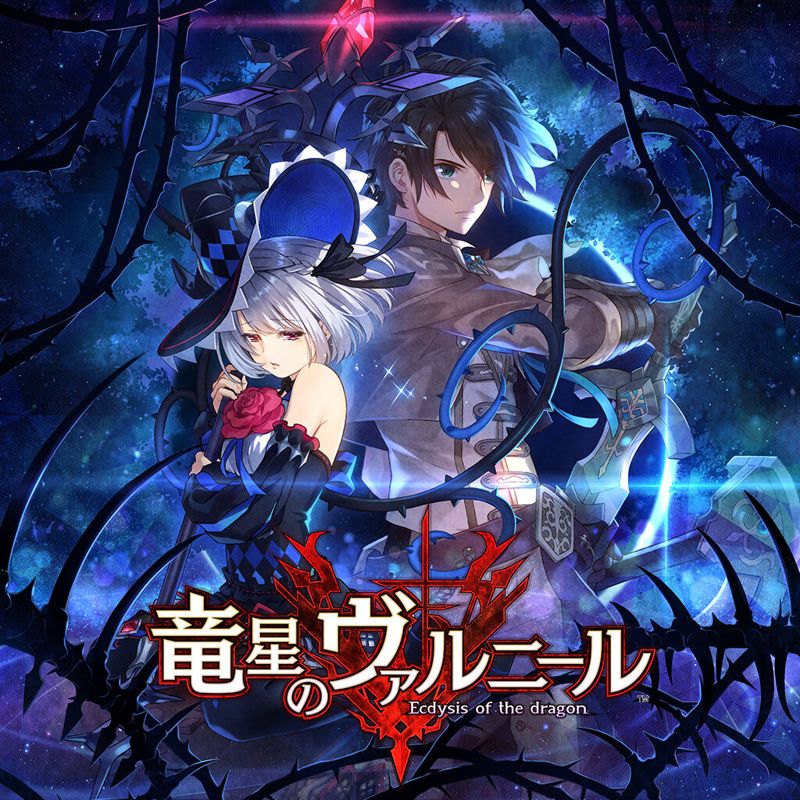 Dragon Star Varnir - Switch