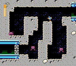 Spacegulls - NES