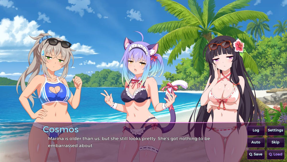 Sakura Succubus IV - PS5