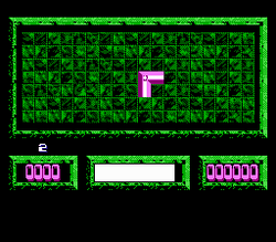 Loopz - NES