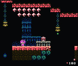 Nebs 'n Debs - NES