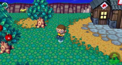 Animal Crossing: City Folk - Wii Original