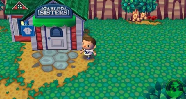 Animal Crossing: City Folk - Wii Original