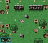 Babe and Friends - Gameboy Color