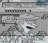 Bart Simpson: Escape from Camp Deadly - Gameboy