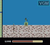 Bass Masters Classic - Gameboy Color