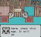 HamTaro: Ham-Hams Unite! - Gameboy Color