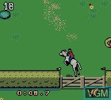 Mary-Kate and Ashley: Winners Circle - Gameboy Color