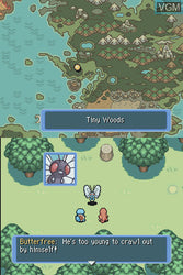 Pokemon Mystery Dungeon: Blue Rescue Team - DS