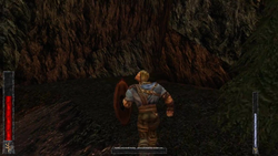Rune: Viking Warlord - PS2