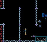Shamus - Gameboy Color