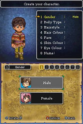 Dragon Quest IX: Sentinels of the Starry Skies - DS