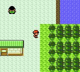 Pokemon Silver - GameBoy Color