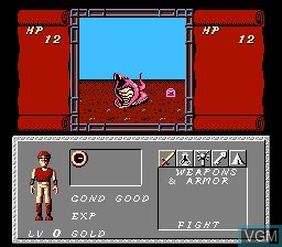 Dungeon Magic - NES