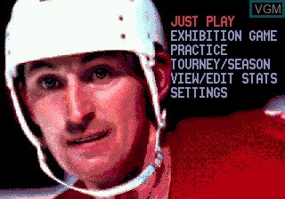 Wayne Gretzky NHLPA All Stars - Genesis