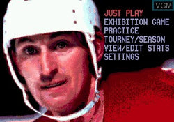 Wayne Gretzky NHLPA All Stars - Genesis