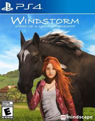 Windstorm: Start of a Great Friendship - PS4