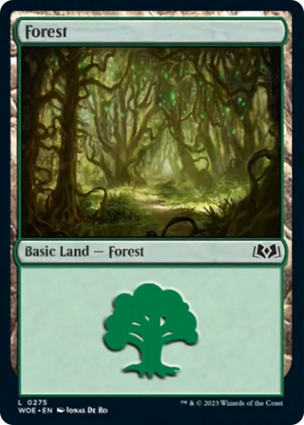 Forest (0275) [Wilds of Eldraine]