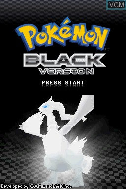 Pokémon Black & White - DS