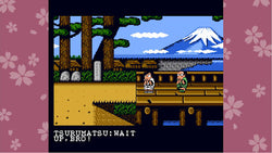 Double Dragon & Kunio-Kun: Retro Brawler Bundle - Switch