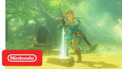 Zelda: Breath of the Wild - Switch